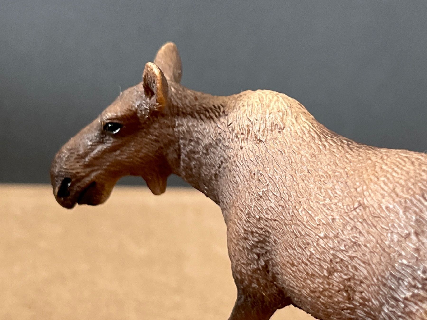 Schleich Statuette: Schleich 14620 Elch Kuh – Usato da Ennetbaden venduto da mapa05 5