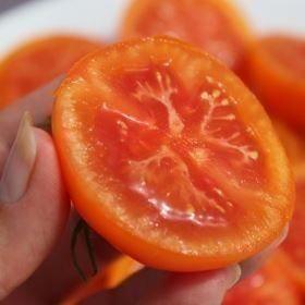 Piante & sementi: Tomate Zlatava  RARE   5g – Nuovo (secondo la descrizione) da Bremblens venduto da FIBONACCI369 3