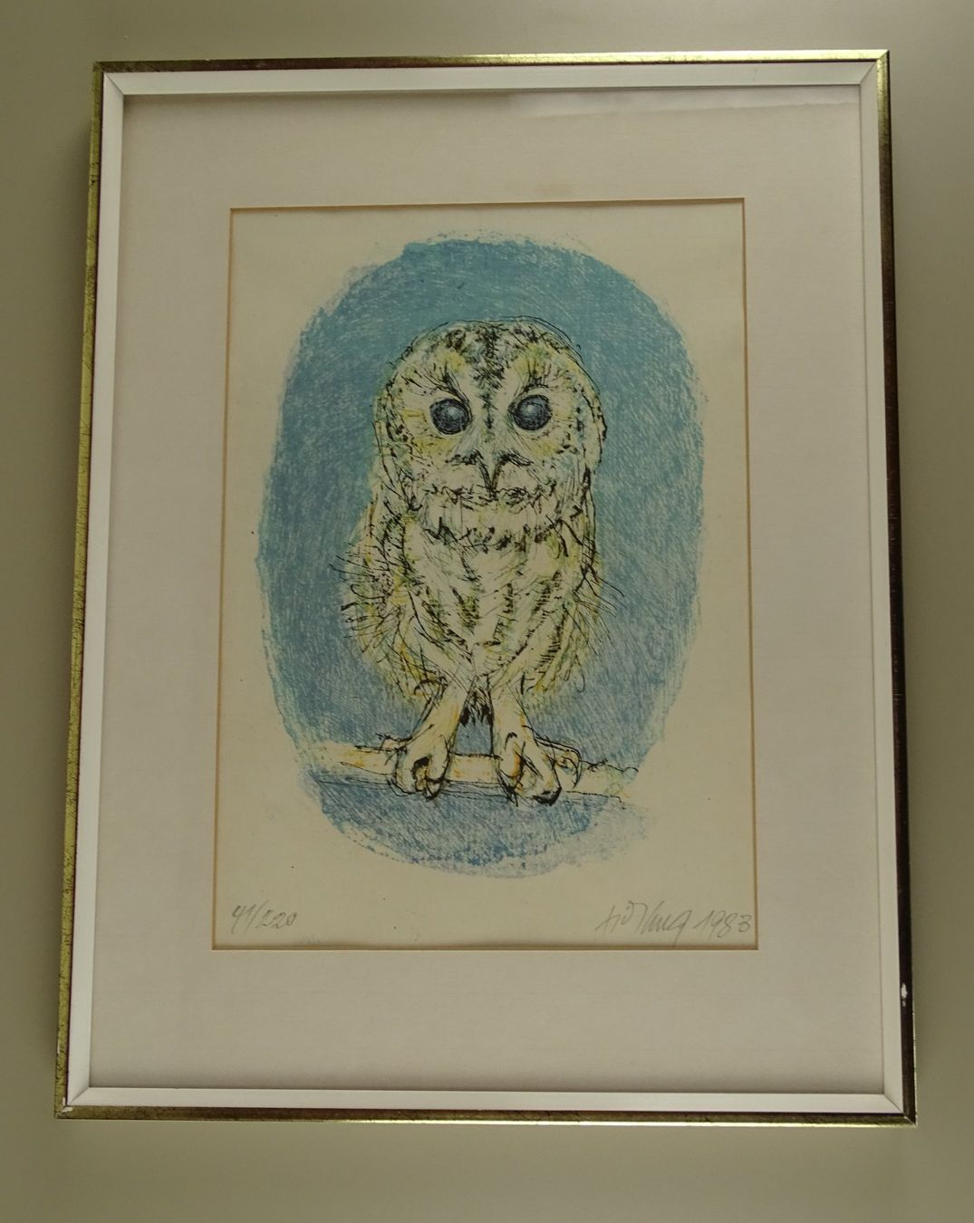 Grafiken & Lithographien: FRITZ HUG: JUNGER UHU, KAUZ, EULE, KÜKEN, FARBLITHOGRAPHIE – Gebraucht aus Grüningen von Kartensammler 1