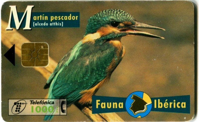Schede telefoniche: Telefonkarte "Eisvögel". Spanien. – Usato da Basel venduto da Butsch5
