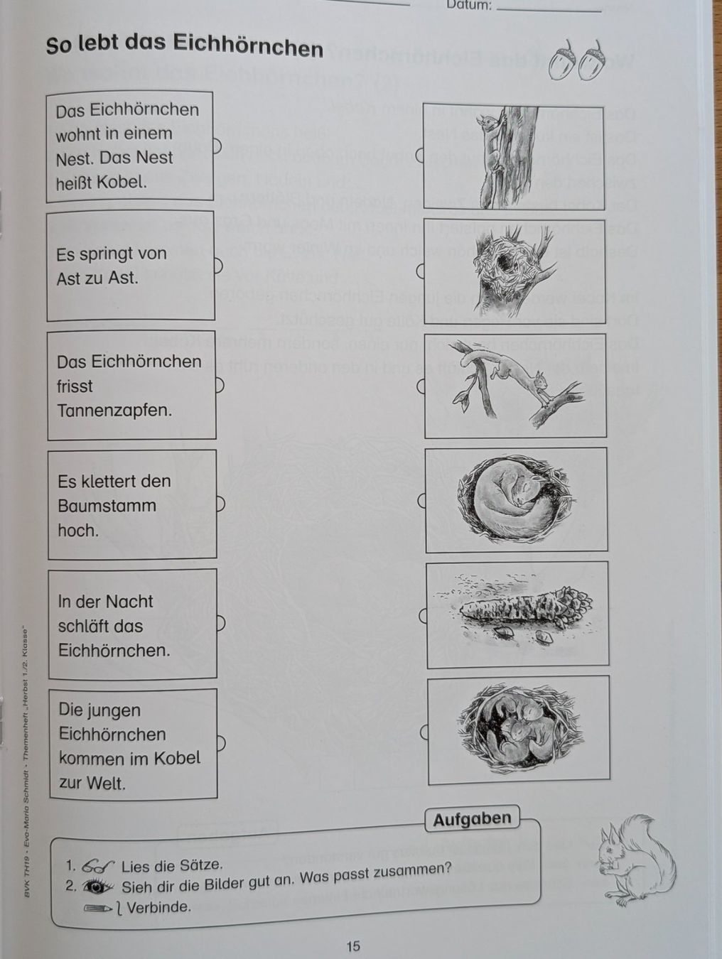 Riviste & Magazine: Themenheft Eichhörnchen 1./2. Klasse BVK – Usato da Weite venduto da Nur63 7