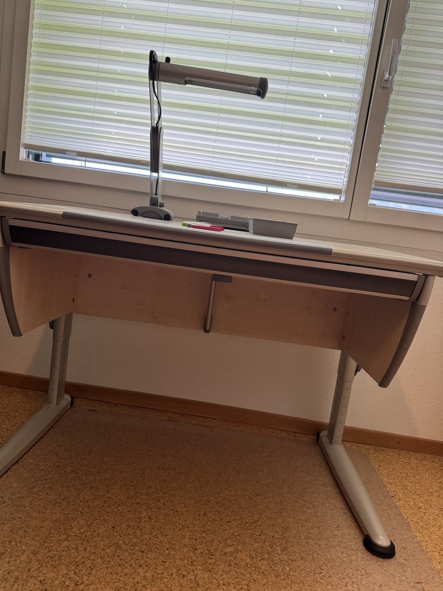 Moll Scrivanie: moll Schreibtisch Runner Compact + Mobilight Lampe – Usato da Grabs venduto da luc_8pw7 2
