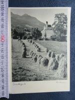 NIESSEN ERNTEZEIT 11963