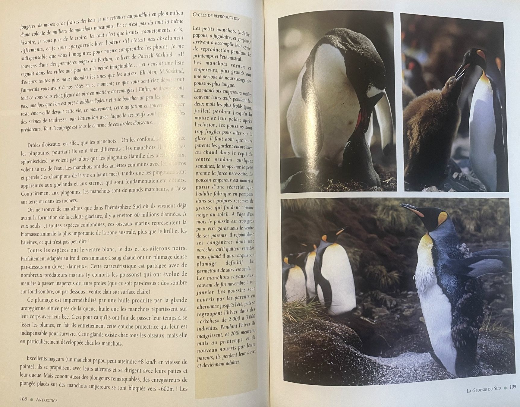 Libri: Antarctica - Une aventure dans les mers australes / Etienne – Usato da Savagnier venduto da Ne2065 6