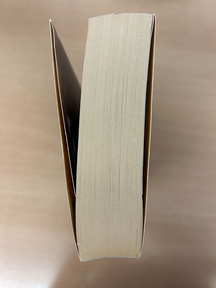 Bücher: Bird&Sword von Amy Harmon – Gebraucht aus Wiesendangen von eli_7q2p 3