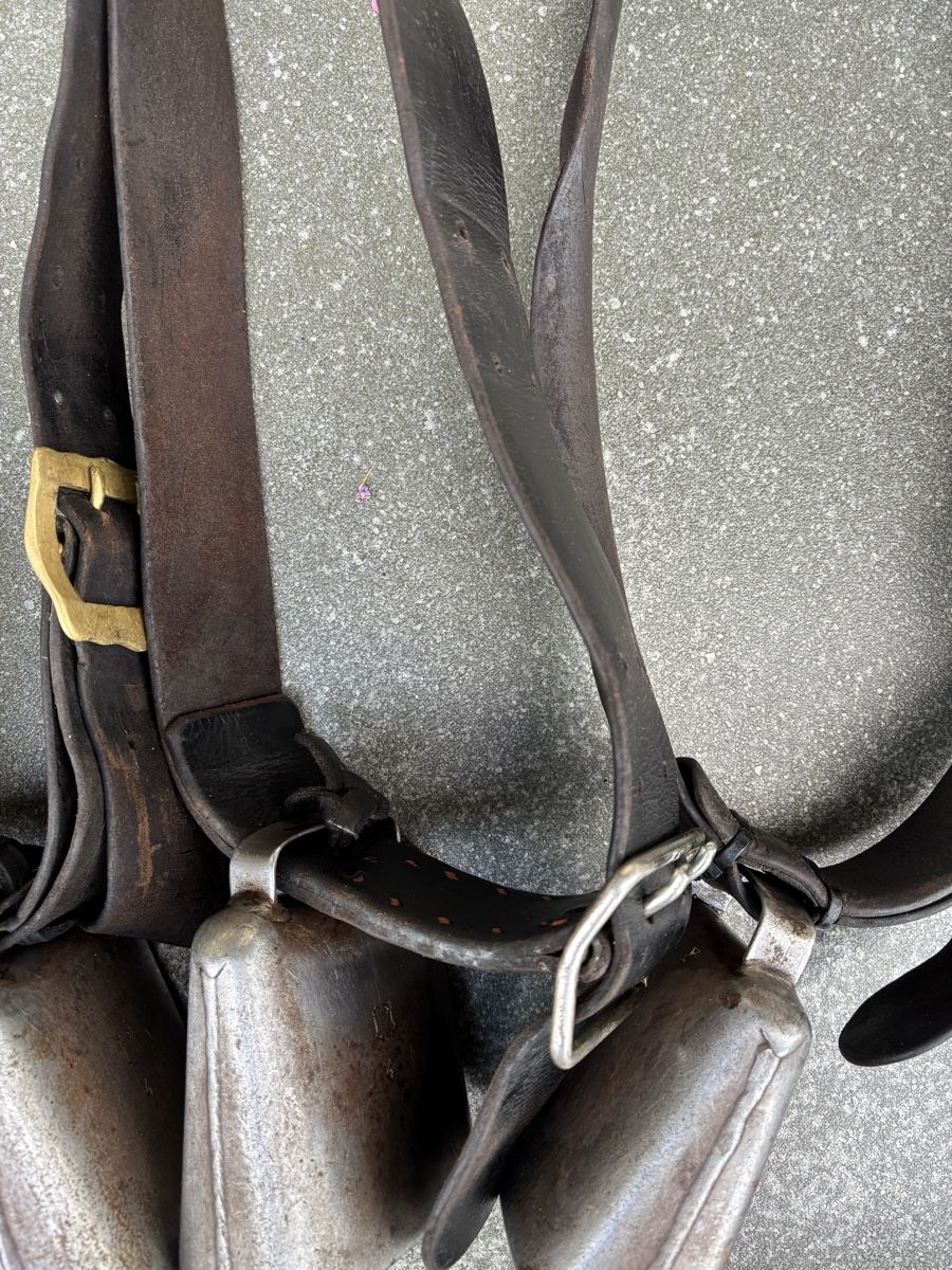Campanacci mucche: 4x Gotthardt NR 4. – Usato da Schangnau venduto da Roseggli82 6