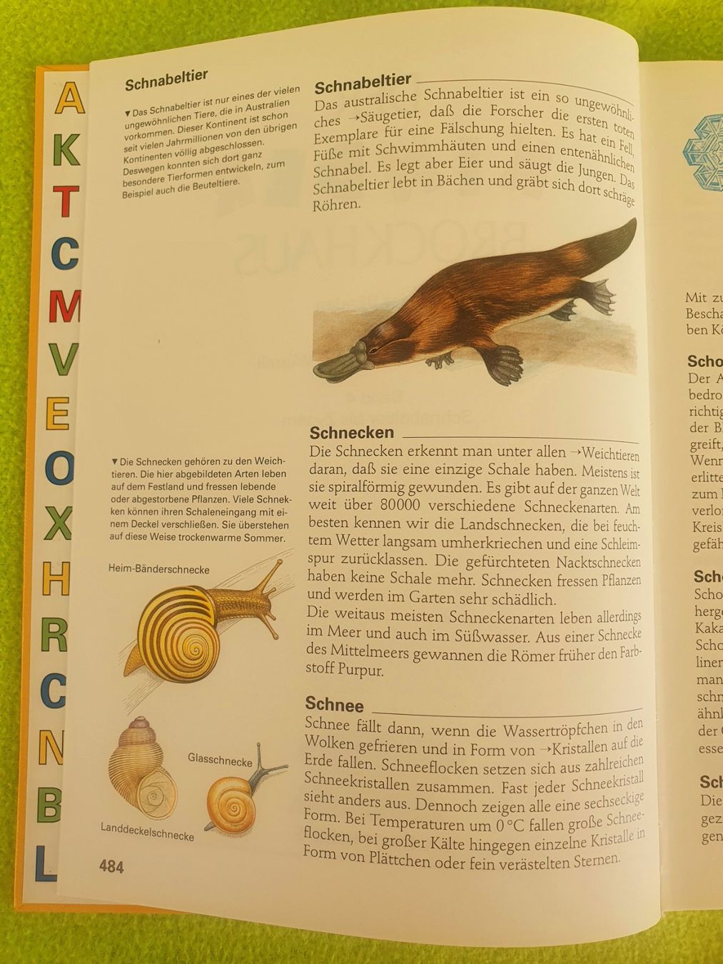 Libri: Der Brockhaus Band 4 – Usato da Steinhausen venduto da joseph-sen 1