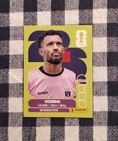 Vozinha Panini sticker