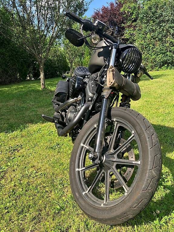Chopper: Harley Davidson Sporster iron 883 – Gebraucht aus Glovelier von ALE_vtm5 2