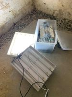 Growset für deine Indoor Pflanzen