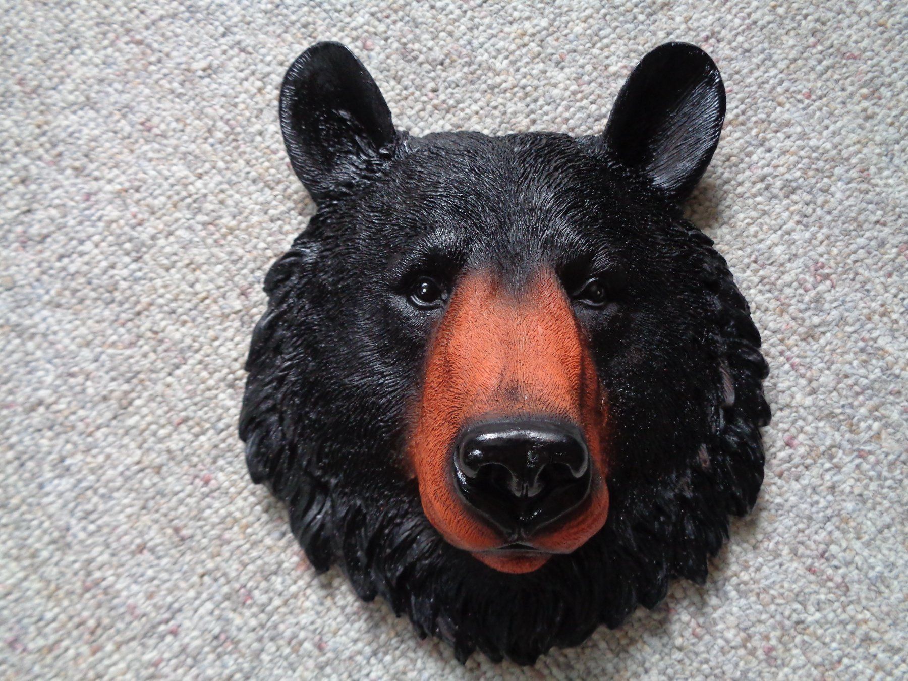 Statuette: Bär Kopf 3D (22x19 cm) – Nuovo e nell'imballaggio originale da Langenbruck venduto da Gumsi 1