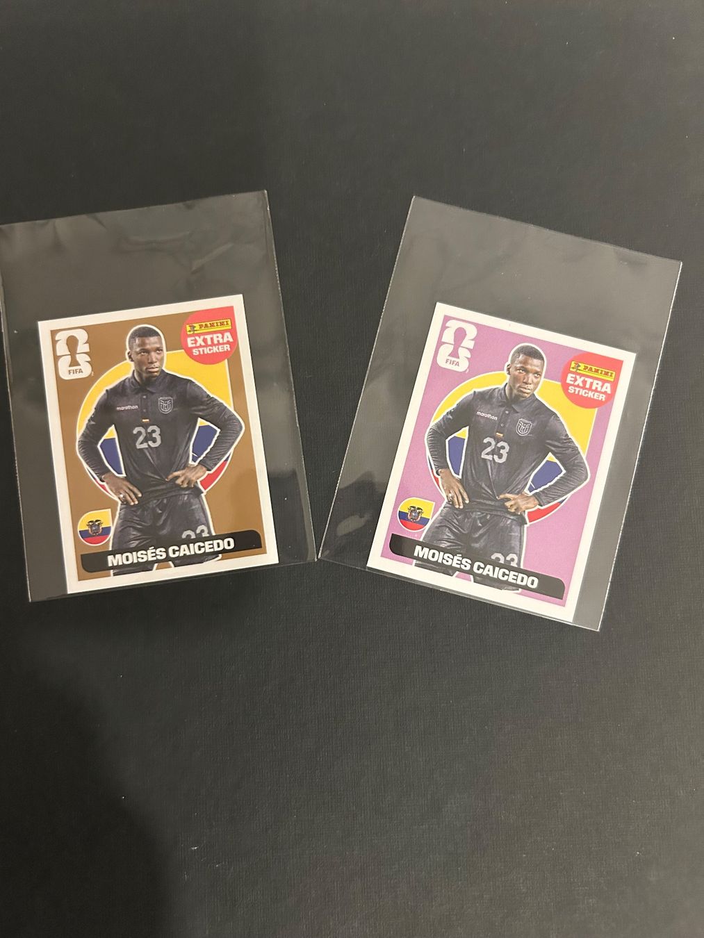 Panini Cartes à collectionner: Panini FIFA Extra Sticker Moisés Caicedo 2er – Neuf (Voir description) à Zürich par Yvo619