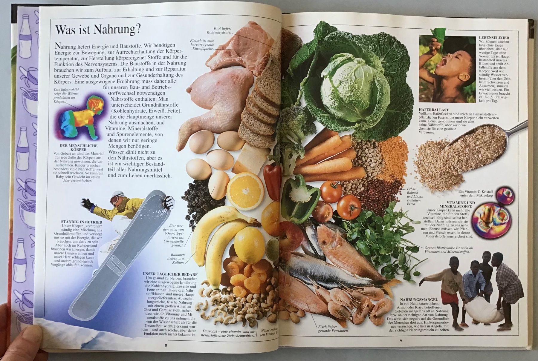 Libri: Sehen, Staunen, Wissen: ERNÄHRUNG – Nuovo (secondo la descrizione) da Bubendorf venduto da Alpenheidi 6