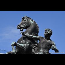 Profile image of Simabre1