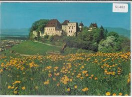 Schloss Lenzburg im Sommer