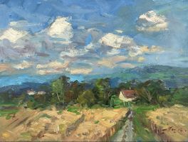 Sommer im Thurgau