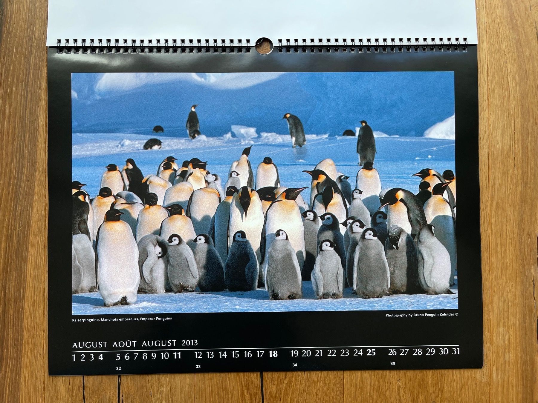 Kalender: Pinguin-Kalender (Bruno Zehnder) – Neu und originalverpackt aus Volketswil von doughboy 2