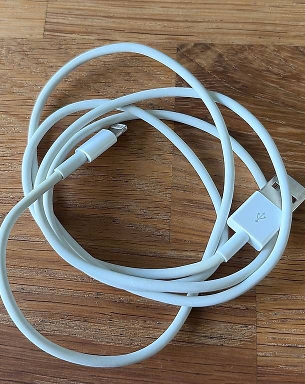 Cavi: Câble de charge Apple USB-Lightning – Usato da Genève venduto da LuCmno 1