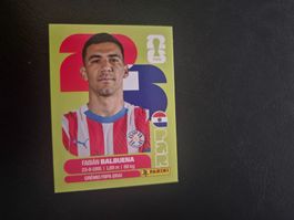 Panini WM 26 PAR 5