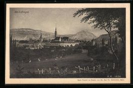 Alt-Zofingen, Blick von der Anhöhe auf 
