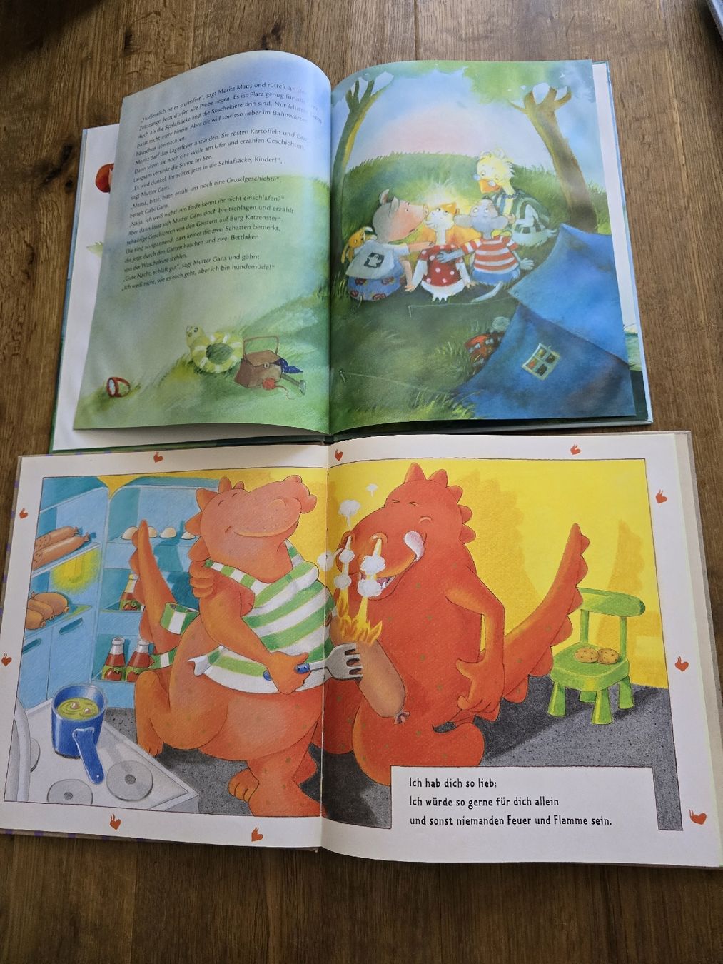 Libri: bücher für kinder – Usato da Wittenbach venduto da Tigerlili 7