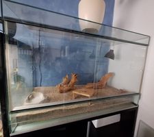 Terrarium mit Unterschrank und Zubehör, kaum gebraucht Top!