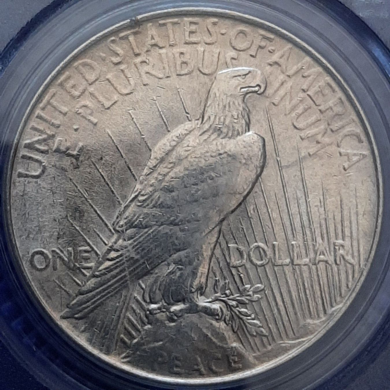 Tutti le monete: USA Peace Dollar 1924 PCGS AU55 – Usato da Carouge GE venduto da cecob0909 3