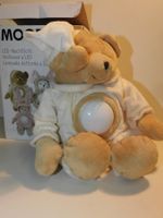 Teddy Bär LED Nachtlicht OVP Nachlicht für Baby Kinder