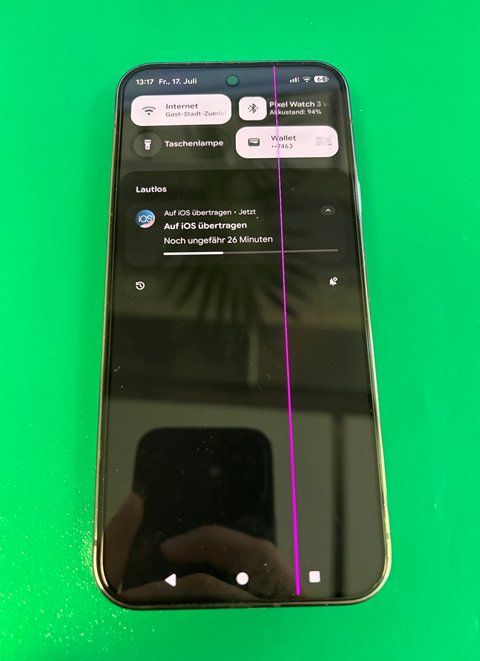 Google Handys / Smartphones: Google Pixel 9 Pro XL – Gebraucht aus Schaffhausen von robinmontanile 2