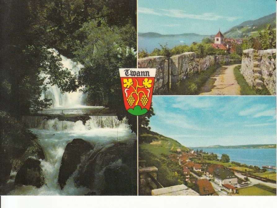 Twann ca. 1970 (Gebraucht) in Bürglen TG für CHF 1 – mit Lieferung auf ...