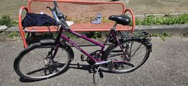 Velo Alpina Country 26" lila