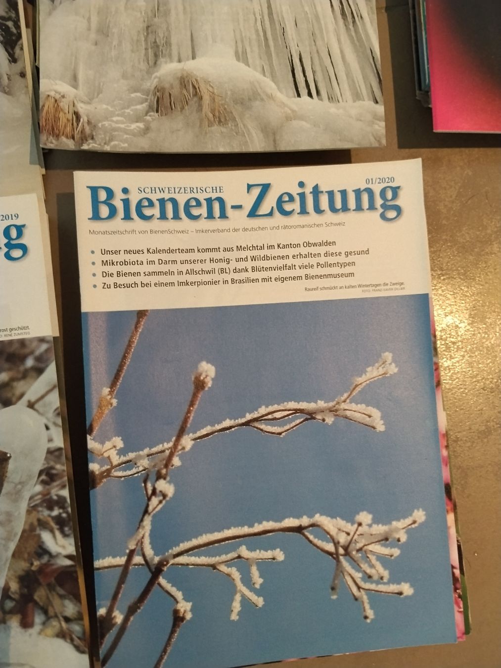 Alveari: Schweizerische Bienen-Zeitung  2017- mitte '24 – Usato da Widnau venduto da blackSkorpion88 6