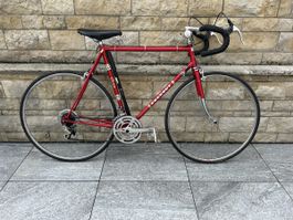 TOP Rennvelo VINTAGE Peugeot