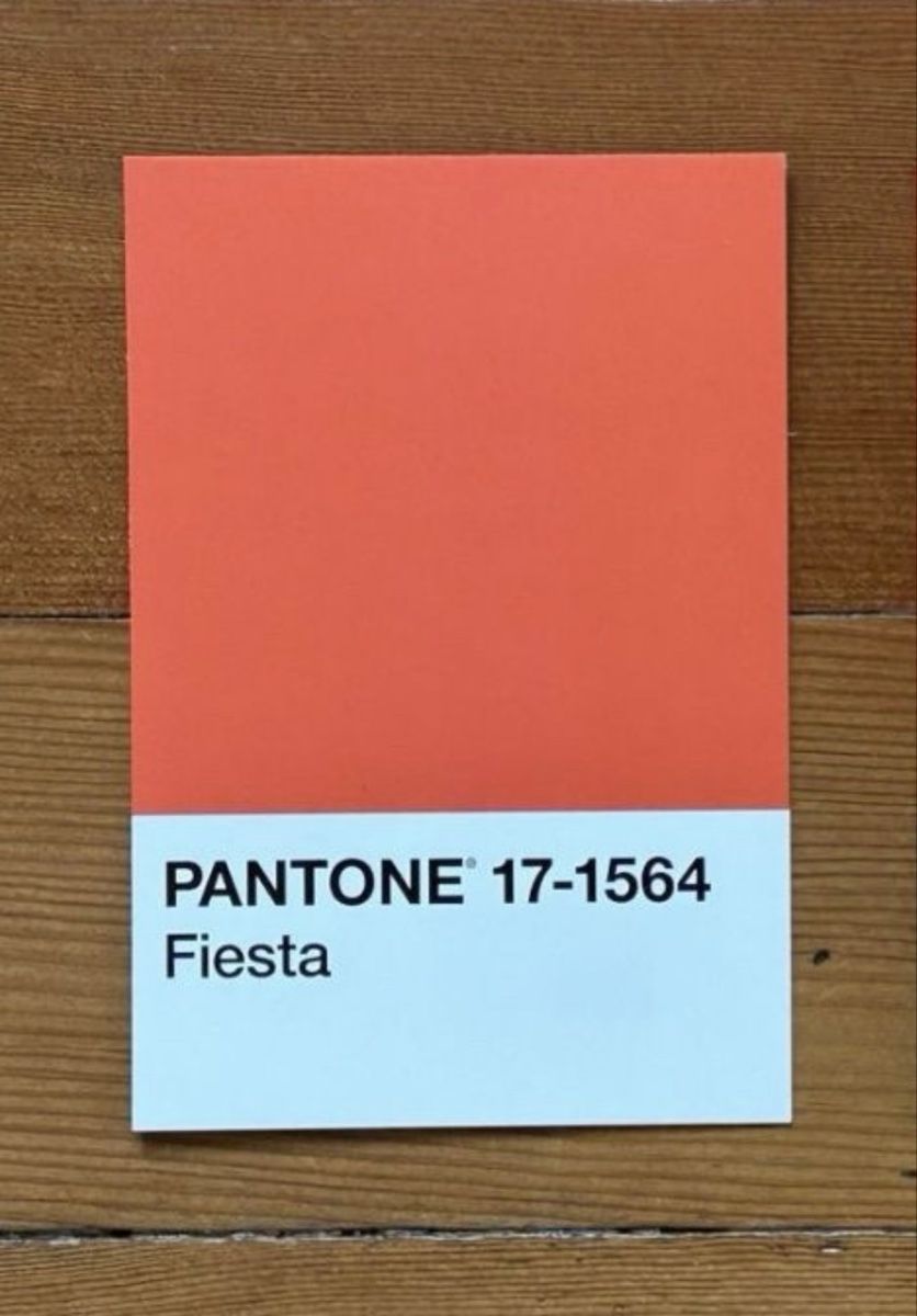 Thonet Sedie: Thonet 214 P  6 stühle  – Usato da Zürich venduto da vilhenag 7