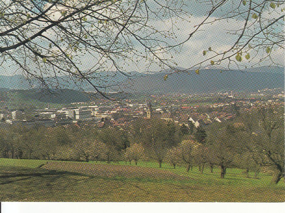 Cartoline postali: Zofingen ca. 1970 – Usato da Bürglen TG venduto da StampGraf