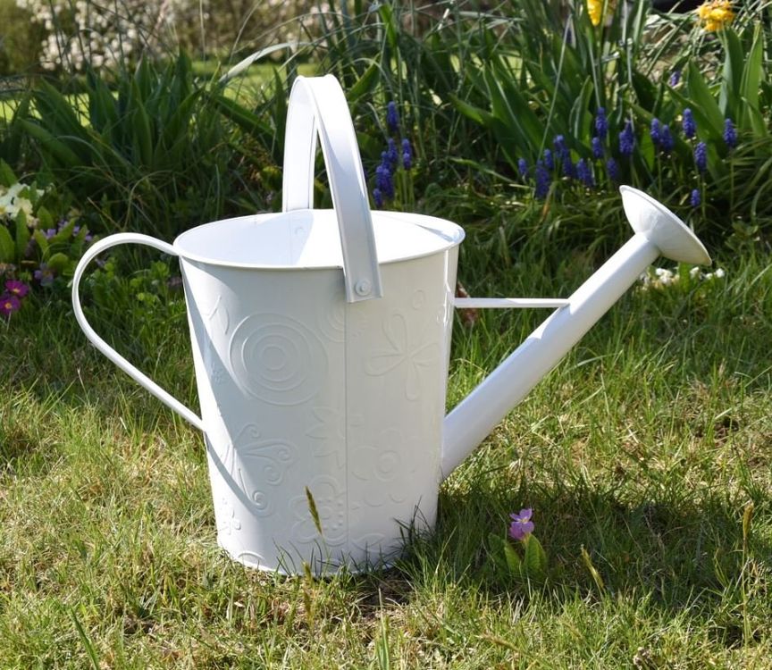 Giesskanne mit BlumenMotiv Kaufen auf Ricardo