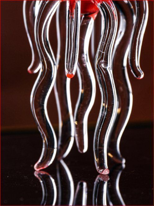 Bicchieri: Cocktailglas design Octopus – Nuovo e nell'imballaggio originale da Burgdorf venduto da XJ6 6