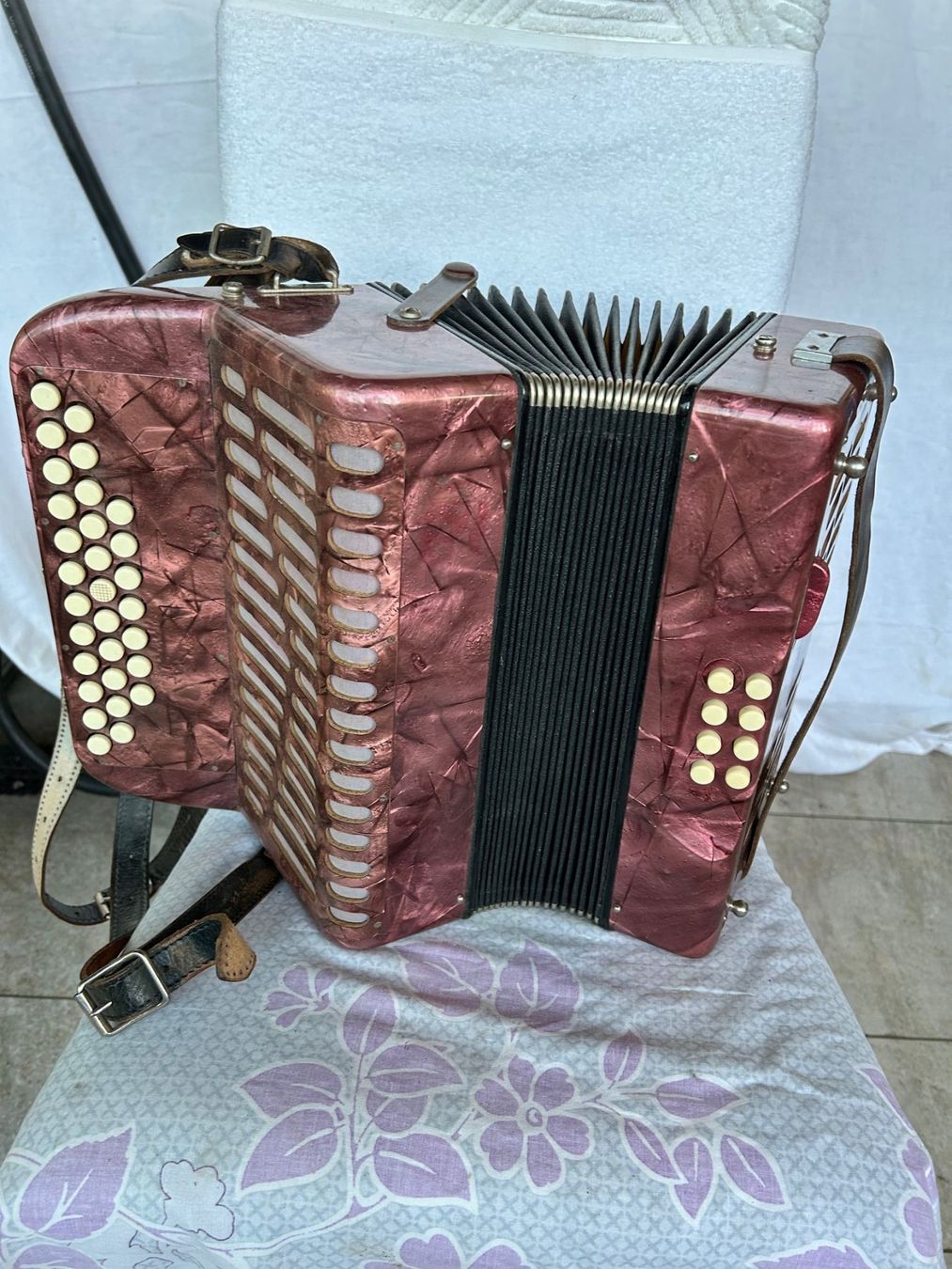 Strumenti musicali: Akkordeon Tell Bachenbülach Model 32A – Usato da Titterten venduto da Ameanrio