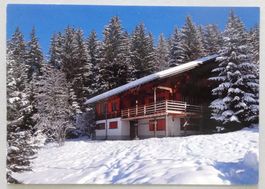 Ski- und Ferienhaus Kuonolf, Schönried