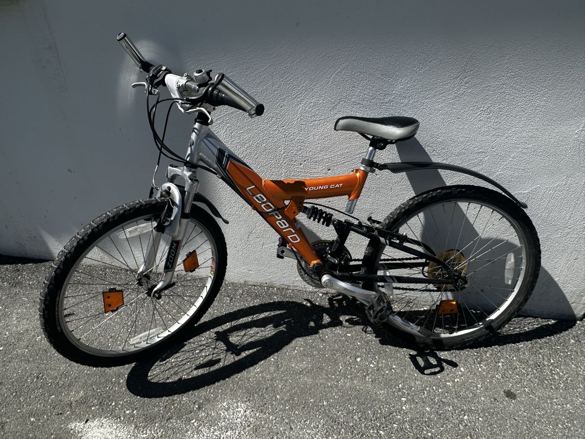 Leopard Biciclette: Kinderfahrrad – Usato da Obersaxen venduto da sin_mvy5