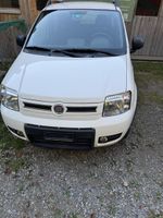 Fiat Panda 4x4 Kupplung defekt/ letzte MFK 1.2025