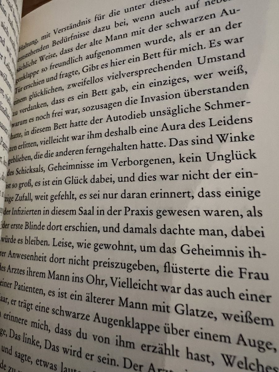 Bücher: José Saramago, 2 Romane – Neu und originalverpackt aus Uznach von Apuutze 4