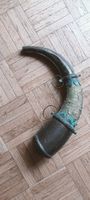 Corno decorato con incisioni metalliche e anelli, parte anti