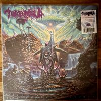 Tomb Mold – The Enduring Spirit