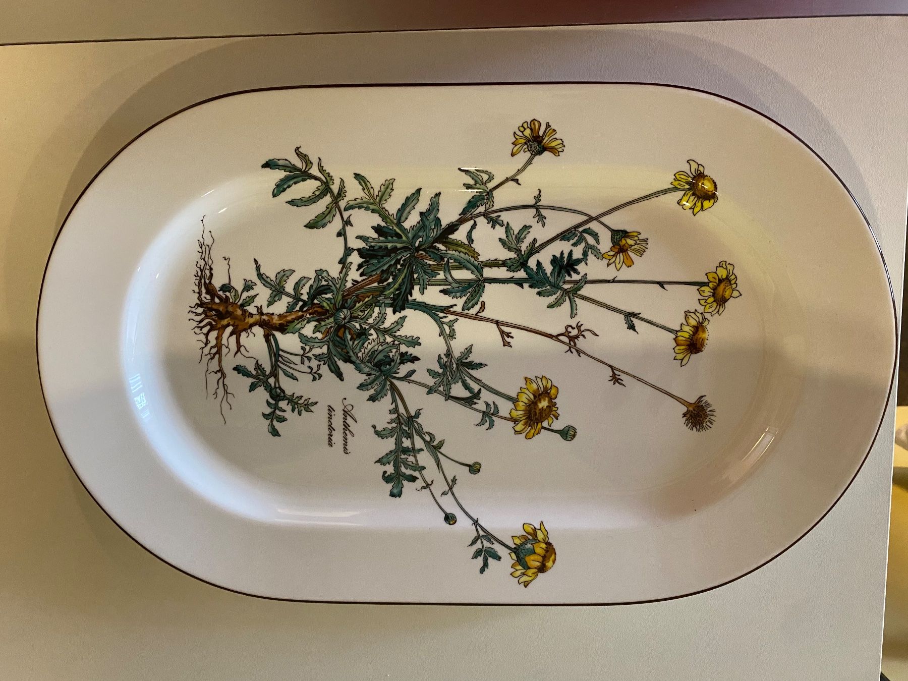 Villeroy & Boch Piatti di portata: Villeroy & Boch ovale Platte – Usato da Russikon venduto da Honolulu-2019