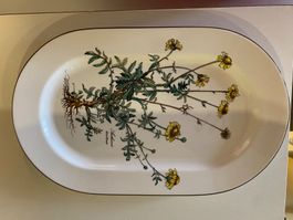 Villeroy & Boch ovale Platte