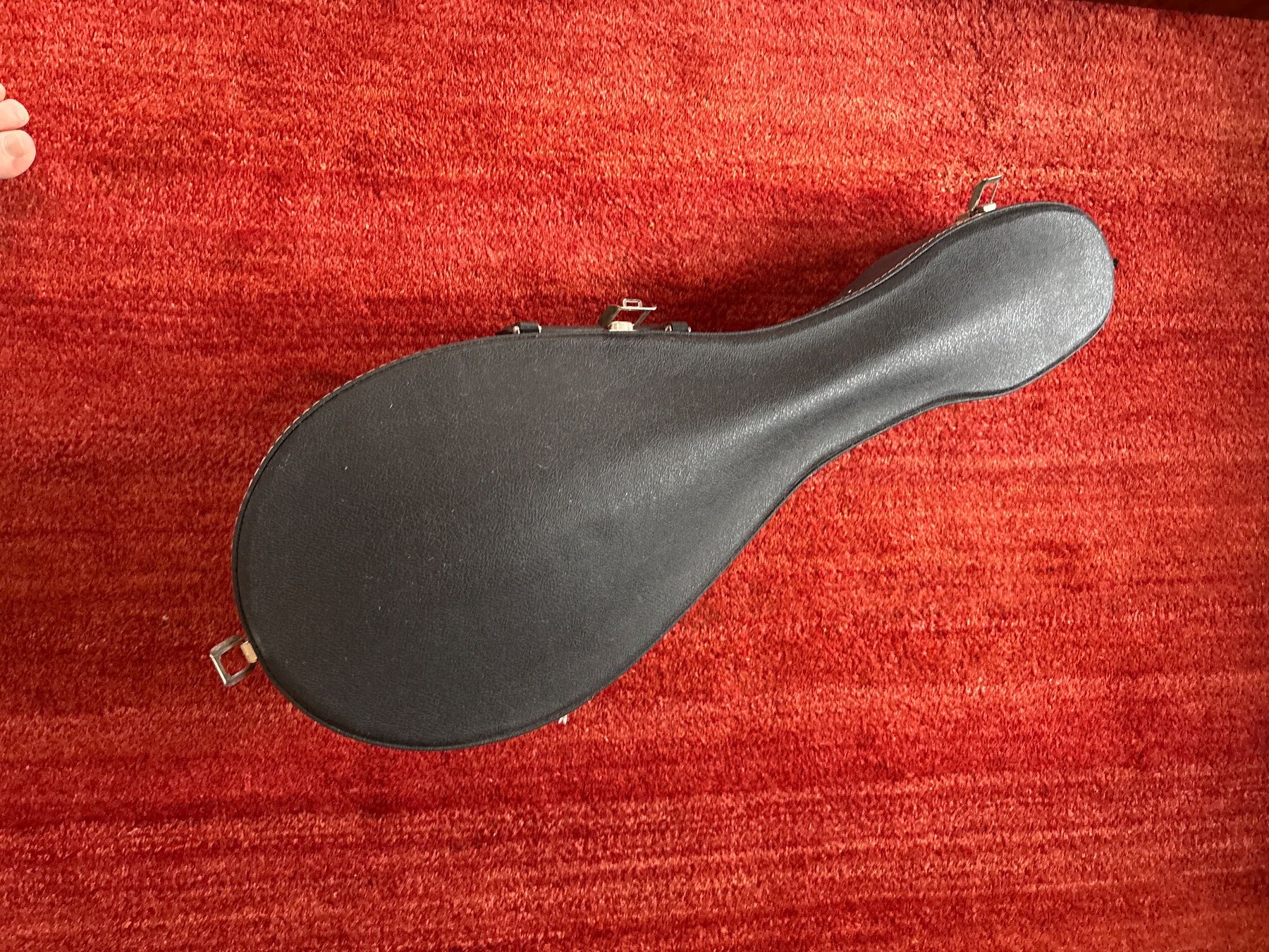 Strumenti musicali: Mandoline Musik Hug – Usato da Suhr venduto da star033 5