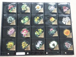 Serie   76 B  Heilpflanzen  Gastro spitz