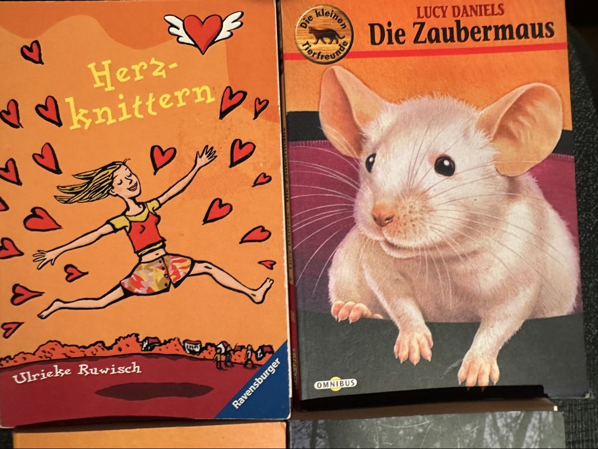 Bücher: Romane diverse – Gebraucht aus Therwil von jas_vpt8 3