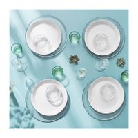 1 x Iittala Arctica: Teller flach 23cm